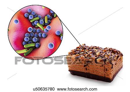 Foodborne infection, conceptual illustration. A foodborne infection is an infectious disease that develops after ingestion of pathogenic microorganisms with food. Many bacteria are causative agents of foodborne infections including Staphylococcus... View Large Photo Image Stock Image - Foodborne infection, conceptual illustration. A foodborne infection is an infectious disease that develops after ingestion of pathogenic microorganisms with food. Many bacteria are causative agents of foodborne infections including Staphylococcus.... Fotosearch