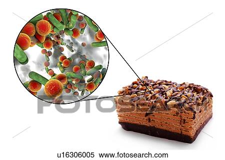Foodborne infection, conceptual illustration. A foodborne infection is an infectious disease that develops after ingestion of pathogenic microorganisms with food. Many bacteria are causative agents of foodborne infections including Staphylococcus... View Large Photo Image Stock Photography - Foodborne infection, conceptual illustration. A foodborne infection is an infectious disease that develops after ingestion of pathogenic microorganisms with food. Many bacteria are causative agents of foodborne infections including Staphylococcus.... Fotosearch