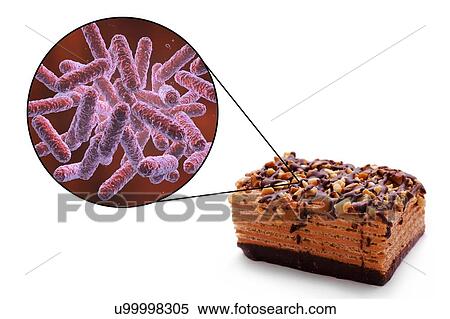 Foodborne infection, conceptual illustration. A foodborne infection is an infectious disease that develops after ingestion of pathogenic microorganisms with food. Many bacteria are causative agents of foodborne infections, including Enterobacteriaceae... View Large Photo Image Stock Photography - Foodborne infection, conceptual illustration. A foodborne infection is an infectious disease that develops after ingestion of pathogenic microorganisms with food. Many bacteria are causative agents of foodborne infections, including Enterobacteriaceae.... Fotosearch