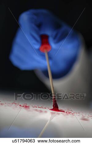 Forensic technician taking bloodstain sample. View Large Photo Image Stock Image - Forensic technician taking bloodstain sample.. Fotosearch
