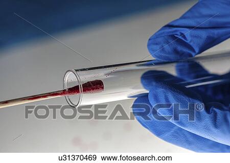 Stock Photo - Forensic technician taking bloodstain sample.. Fotosearch