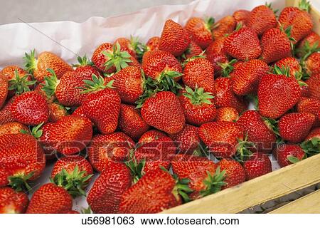 Fresh strawberries. View Large Photo Image Stock Image - Fresh strawberries.. Fotosearch