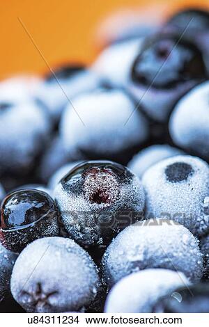 Frozen aronia berries. View Large Photo Image Picture - Frozen aronia berries.. Fotosearch