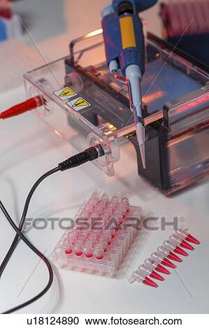 Gel electrophoresis equipment. View Large Photo Image Stock Image - Gel electrophoresis equipment.. Fotosearch