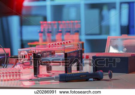 Stock Image - Gel electrophoresis equipment.. Fotosearch
