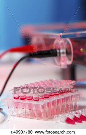 Gel electrophoresis equipment. View Large Photo Image Stock Image - Gel electrophoresis equipment.. Fotosearch
