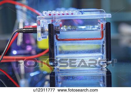 Stock Photo - Gel electrophoresis equipment.. Fotosearch