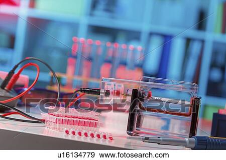 Stock Photo - Gel electrophoresis equipment.. Fotosearch