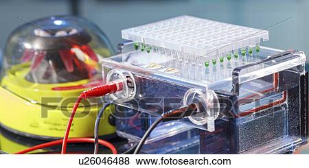 Stock Photo - Gel electrophoresis equipment.. Fotosearch