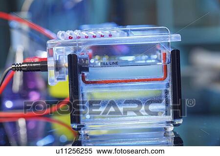 Stock Photography - Gel electrophoresis equipment.. Fotosearch