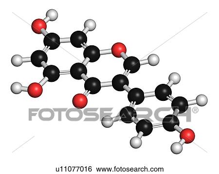 Stock Photograph - Genistein isoflavone molecule. 3D rendering. Atoms are represented as spheres with conventional colour-coding: hydrogen (white), carbon (black), oxygen (red).. Fotosearch
