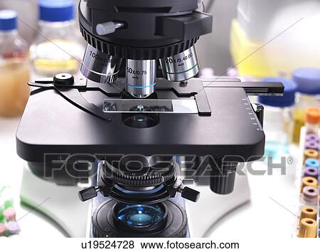 Stock Photo - Glass slide containing a human sample under a light microscope for medical testing.. Fotosearch