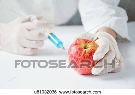 Stock Photograph - GMO apple, conceptual image.. Fotosearch