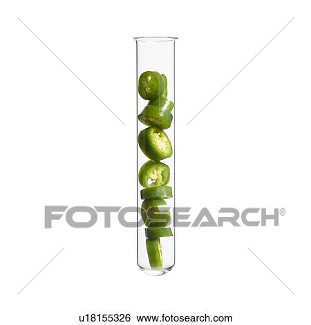 Stock Photograph - Green chilli pepper in test tube, studio shot.. Fotosearch