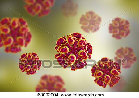 Picture - Hepatitis E virus (HEV), computer illustration. HEV particles (virions) are composed of an outer protein coat (capsid) encasing RNA (ribonucleic acid), the genetic material of the virus. Infection with HEV causes inflammation of the liver and jaundice.... Fotosearch