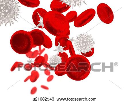 Human blood cells, illustration. View Large Photo Image Stock Image - Human blood cells, illustration.. Fotosearch