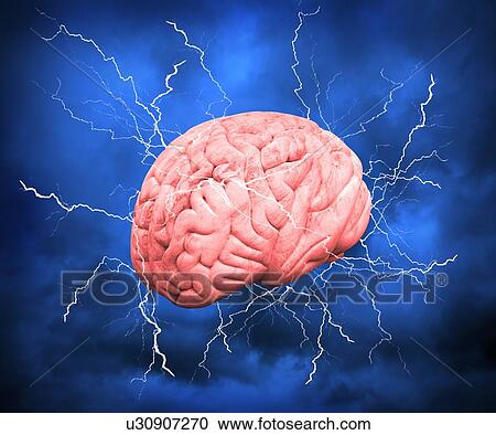 Stock Image - Human brain, computer artwork.. Fotosearch