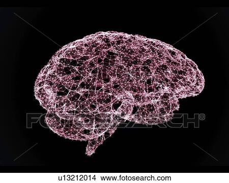 Picture - Human brain, illustration.. Fotosearch