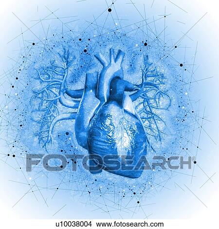 Human heart against blue background, illustration. View Large Photo Image Picture - Human heart against blue background, illustration.. Fotosearch