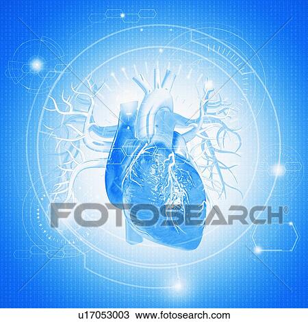 Stock Image - Human heart against blue background, illustration.. Fotosearch