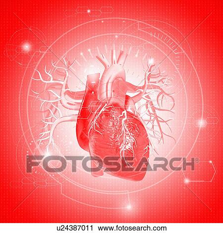 Human heart against red background, illustration. View Large Photo Image Stock Image - Human heart against red background, illustration.. Fotosearch