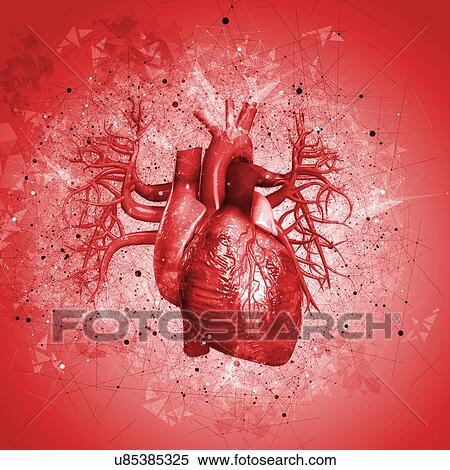 Human heart against red background, illustration. View Large Photo Image Stock Photography - Human heart against red background, illustration.. Fotosearch