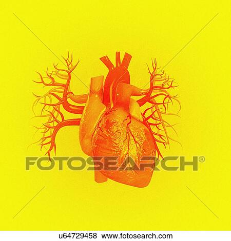 Stock Photo - Human heart against yellow background, illustration.. Fotosearch