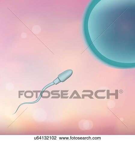 Human sperm and egg, illustration. View Large Photo Image Stock Image - Human sperm and egg, illustration.. Fotosearch