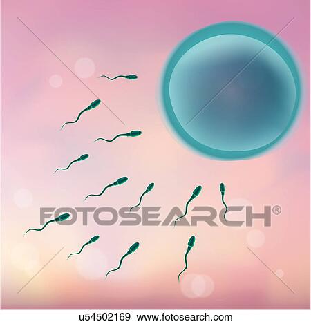 Human sperm and egg, illustration. View Large Photo Image Stock Photo - Human sperm and egg, illustration.. Fotosearch