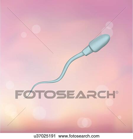 Stock Image - Human sperm, illustration.. Fotosearch