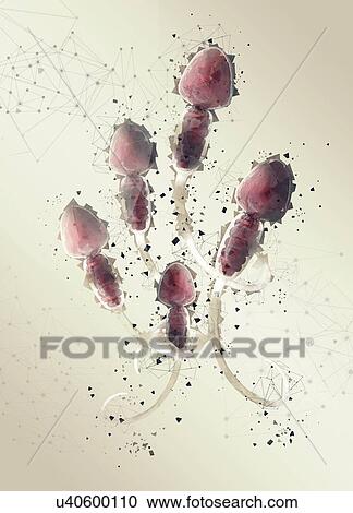 Human sperm, illustration. View Large Photo Image Stock Image - Human sperm, illustration.. Fotosearch