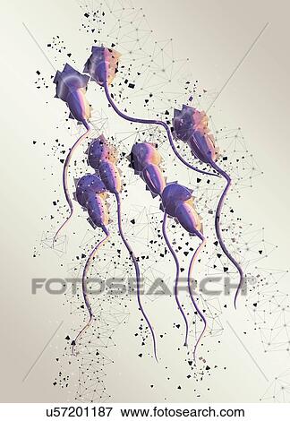 Human sperm, illustration. View Large Photo Image Stock Photo - Human sperm, illustration.. Fotosearch
