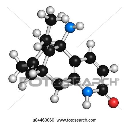 Stock Image - Huperzine A alkaloid molecule. 3D rendering. Atoms are represented as spheres with conventional colour-coding: hydrogen (white), carbon (black), oxygen (red), nitrogen (blue).. Fotosearch
