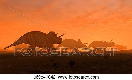 Stock Image - Illustration of a herd of triceratops dinosaurs. These animals were common in the late Cretaceous period, from around 70 million years ago until the extinction of the dinosaurs some 65 million years ago. Triceratops was a herbivorous dinosaur that.... Fotosearch
