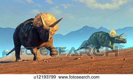 Stock Photo - Illustration of a herd of triceratops dinosaurs. These animals were common in the late Cretaceous period, from around 70 million years ago until the extinction of the dinosaurs some 65 million years ago. Triceratops was a herbivorous dinosaur that.... Fotosearch