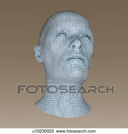 Illustration of an androgynous head engraved with the letters of the DNA (deoxyribonucleic acid) alphabet. View Large Photo Image Stock Image - Illustration of an androgynous head engraved with the letters of the DNA (deoxyribonucleic acid) alphabet.. Fotosearch