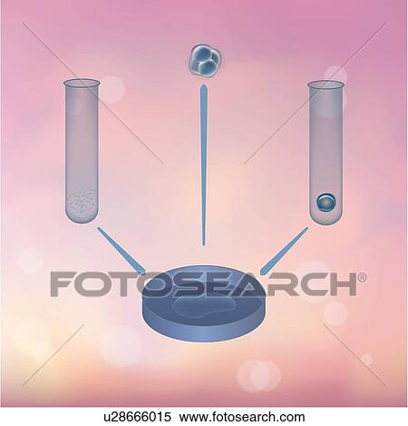 Stock Photography - In vitro fertilization (IVF), illustration.. Fotosearch