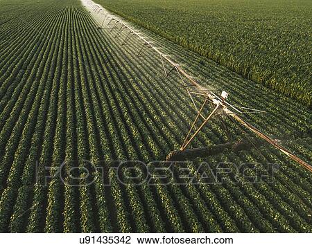 Stock Image - Irrigation bean in soybean field, aerial view.. Fotosearch
