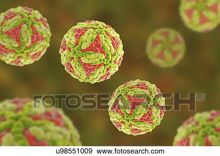 Stock Photo - Japanese encephalitis virus (JEV), computer illustration. JEV is an RNA (ribonucleic acid) virus from the Flaviviridae family. It is transmitted by Culex sp. mosquito and causes encephalitis (brain inflammation).. Fotosearch