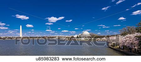 Stock Image - Jefferson Memorial & Washington Monument, Tidal Basin, Washington D. C. feature Cherry Blossoms. Fotosearch