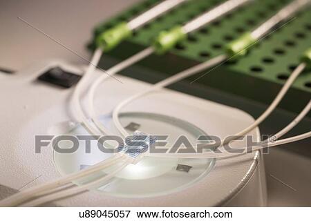 Lab on a chip. View Large Photo Image Stock Photo - Lab on a chip.. Fotosearch