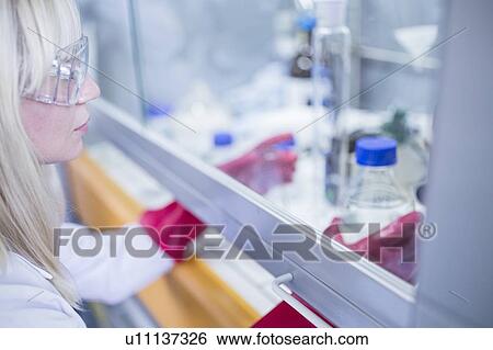 Stock Photograph - Lab technician using a laminar flow hood, thick gloves and safety goggles while working with dangerous chemicals.. Fotosearch