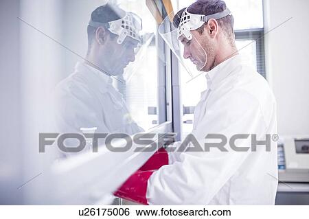 Stock Photograph - Lab technician using a laminar flow hood, thick gloves and a face shield while working with dangerous chemicals.. Fotosearch