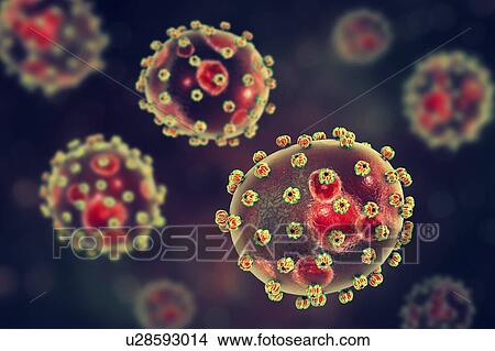 Picture - Lassa virus particles, illustration. Each virus consists of an RNA (ribonucleic acid) genome surrounded by a protein capsid, which is itself surrounded by an envelope covered in a single type of glycoprotein spike known as GPC. This virus, which is.... Fotosearch