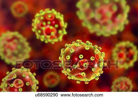 Lassa virus particles, illustration. Each virus consists of an RNA (ribonucleic acid) genome surrounded by a protein capsid, which is itself surrounded by an envelope covered in a single type of glycoprotein spike known as GPC. This virus, which is... View Large Photo Image Stock Image - Lassa virus particles, illustration. Each virus consists of an RNA (ribonucleic acid) genome surrounded by a protein capsid, which is itself surrounded by an envelope covered in a single type of glycoprotein spike known as GPC. This virus, which is.... Fotosearch