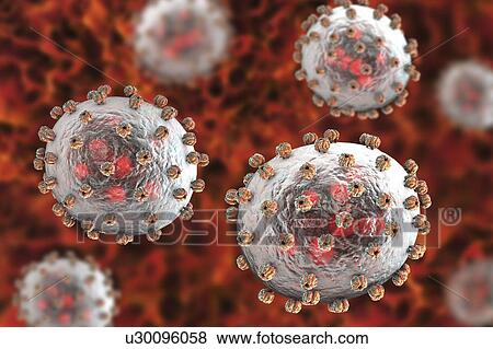 Stock Photo - Lassa virus particles, illustration. Each virus consists of an RNA (ribonucleic acid) genome surrounded by a protein capsid, which is itself surrounded by an envelope covered in a single type of glycoprotein spike known as GPC. This virus, which is.... Fotosearch