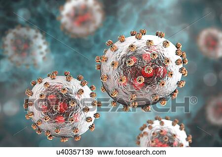 Stock Photo - Lassa virus particles, illustration. Each virus consists of an RNA (ribonucleic acid) genome surrounded by a protein capsid, which is itself surrounded by an envelope covered in a single type of glycoprotein spike known as GPC. This virus, which is.... Fotosearch