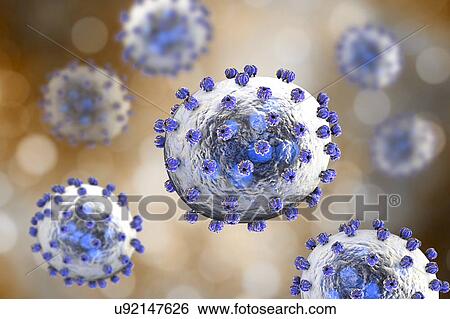 Stock Photograph - Lassa virus particles, illustration. Each virus consists of an RNA (ribonucleic acid) genome surrounded by a protein capsid, which is itself surrounded by an envelope covered in a single type of glycoprotein spike known as GPC. This virus, which is.... Fotosearch