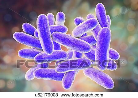 Stock Photo - Legionnaires' disease bacteria. Computer illustration of Legionella pneumophila bacteria, the cause of Legionnaires' disease. These bacilli (rod-shaped bacteria) are Gram-negative. L. pneumophila was identified as a pathogen (agent of disease) after a.... Fotosearch