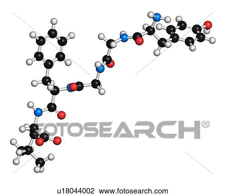 Leu-enkephalin endogenous opioid peptide molecule. 3D rendering. Atoms are represented as spheres with conventional colour-coding: hydrogen (white), carbon (black), oxygen (red), nitrogen (blue). View Large Photo Image Stock Image - Leu-enkephalin endogenous opioid peptide molecule. 3D rendering. Atoms are represented as spheres with conventional colour-coding: hydrogen (white), carbon (black), oxygen (red), nitrogen (blue).. Fotosearch